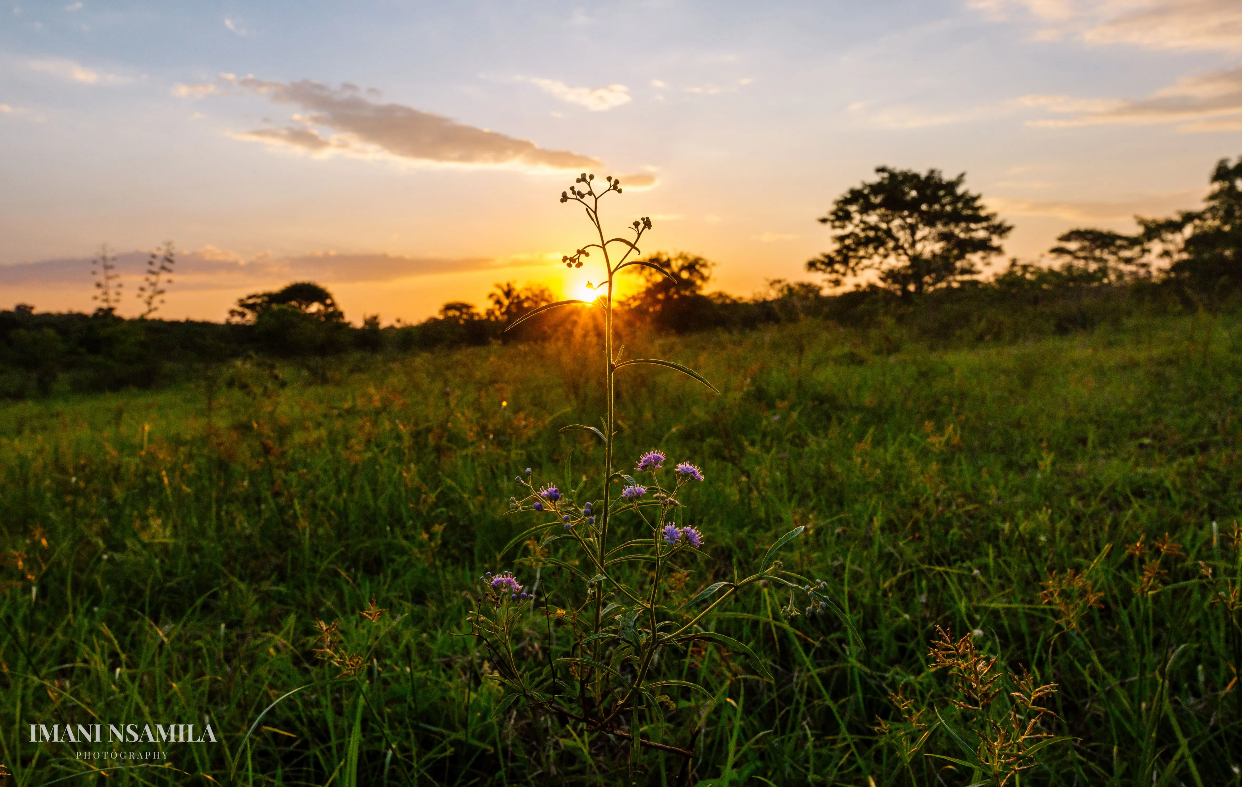 Miono Village: Maasai Evening Activities and Daily Life